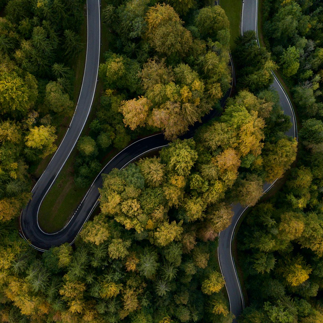 Change Management in AI Implementation  