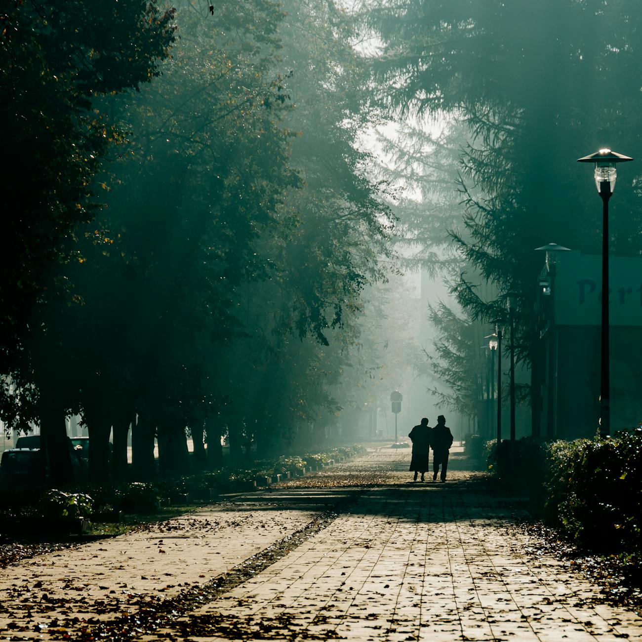 Foundations of Palliative Care Psychology