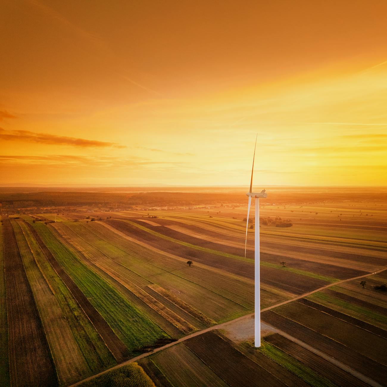 Internet of Things (IoT) Applications in Agriculture