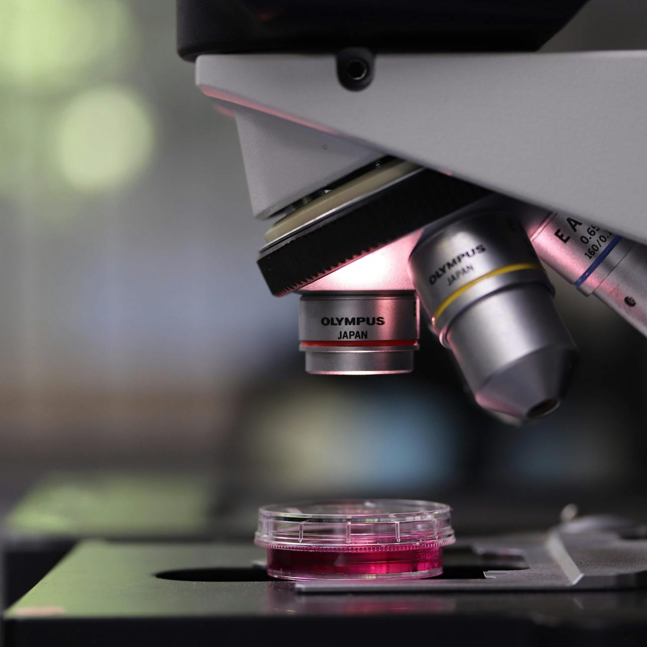 Ethics in Healthcare Research