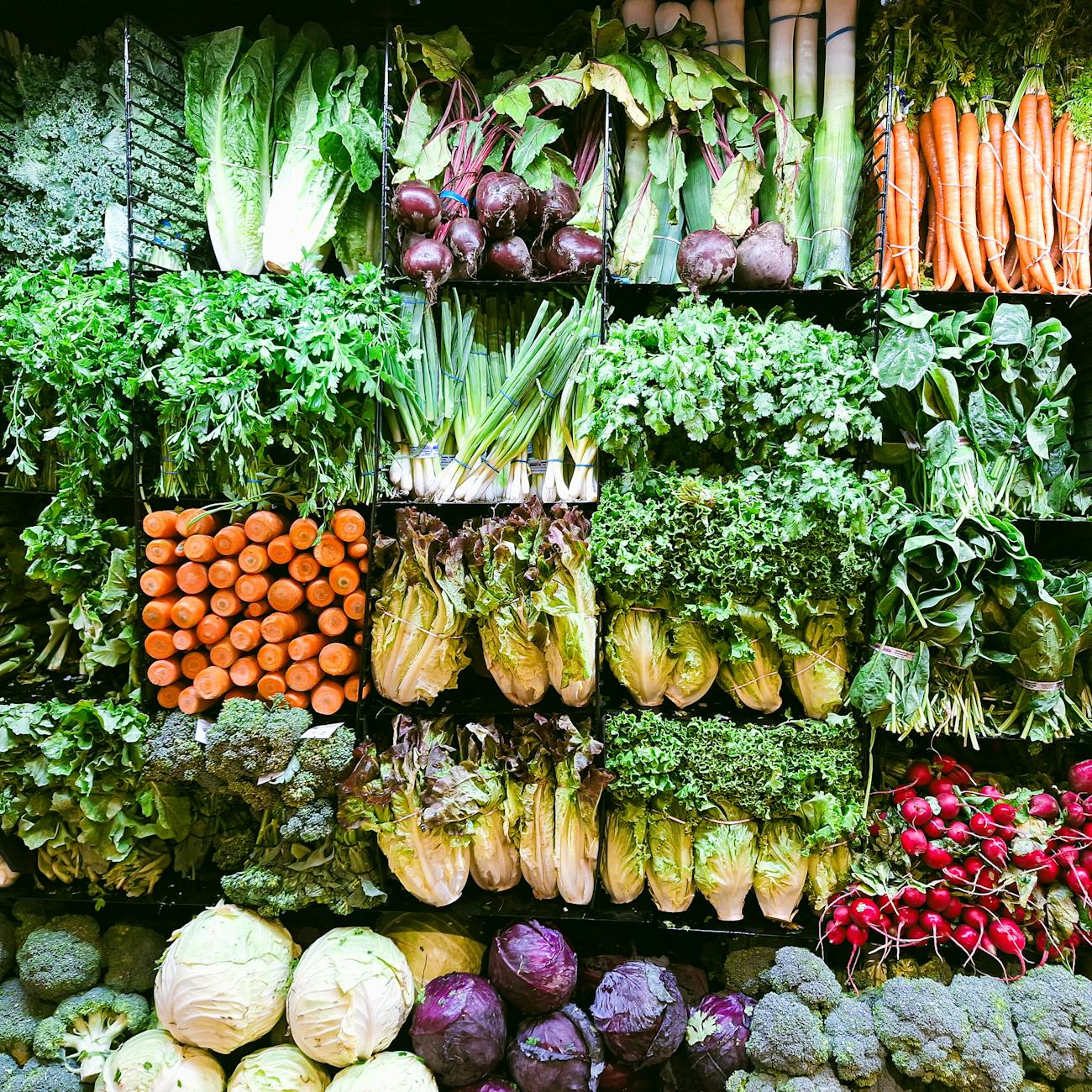 Oxidative Stress and Antioxidants
