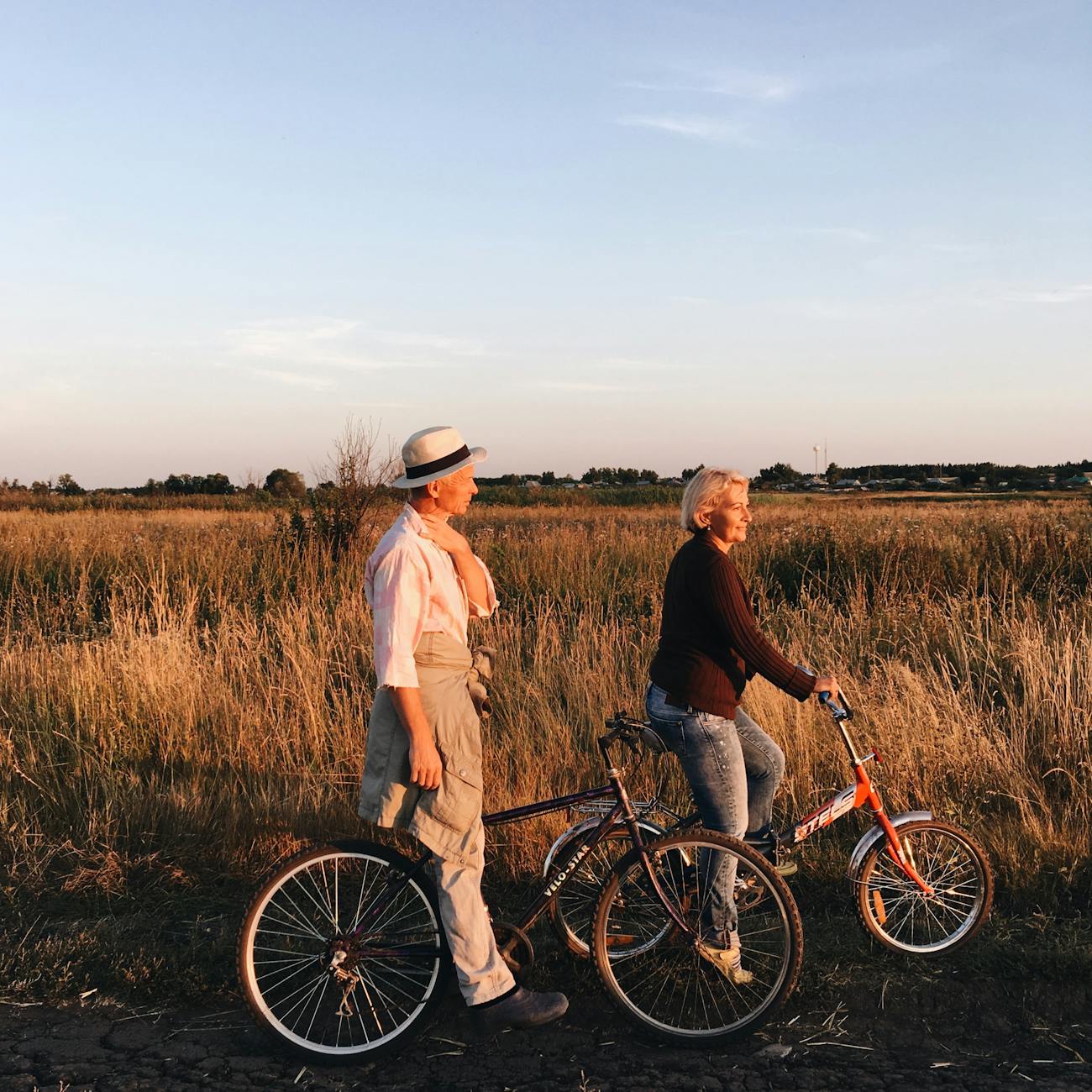 Nutritional Approaches to Cognitive Decline