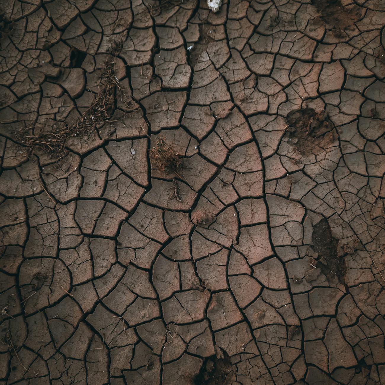 Soil and Groundwater Contamination Assessment