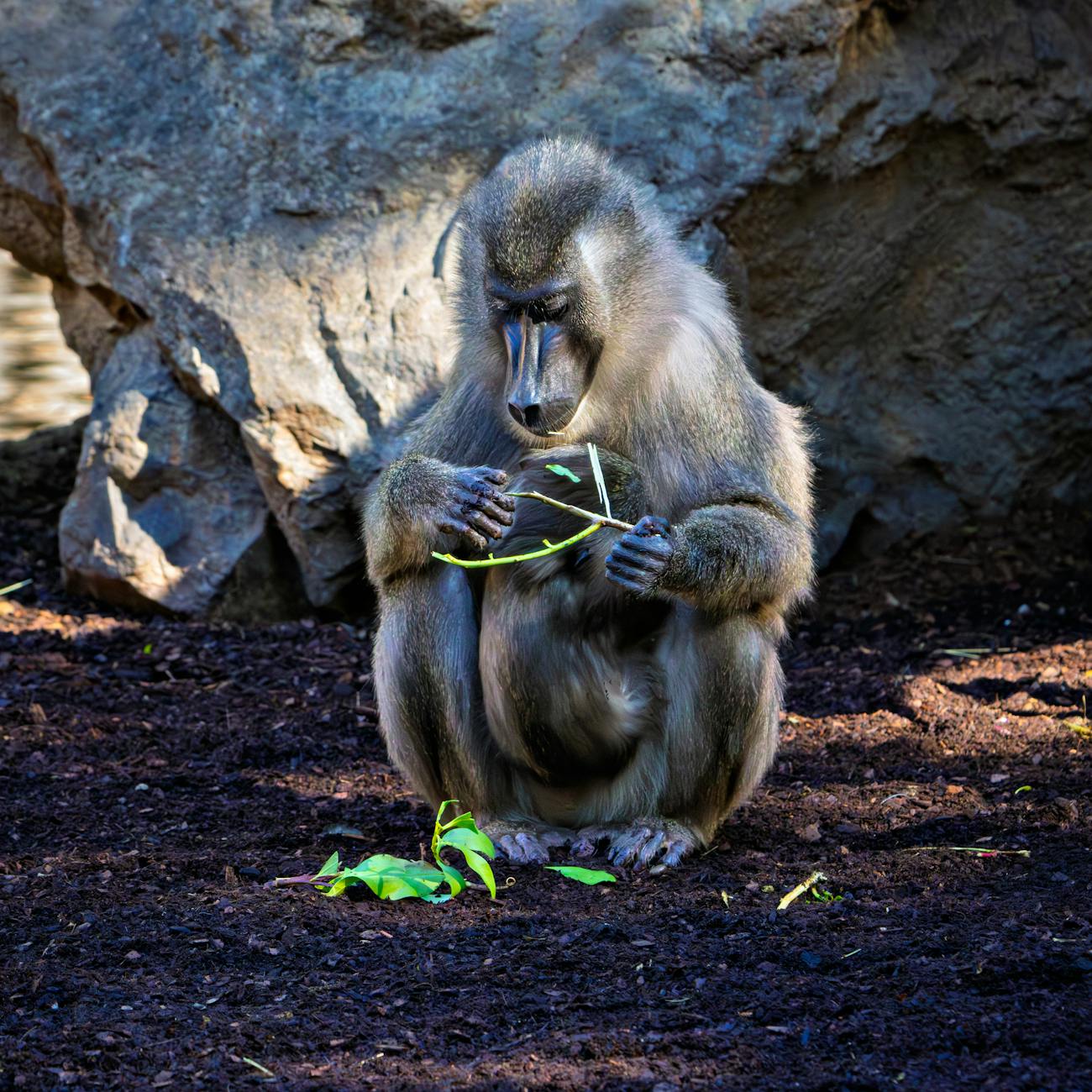 Statistical Modeling in Conservation Biology