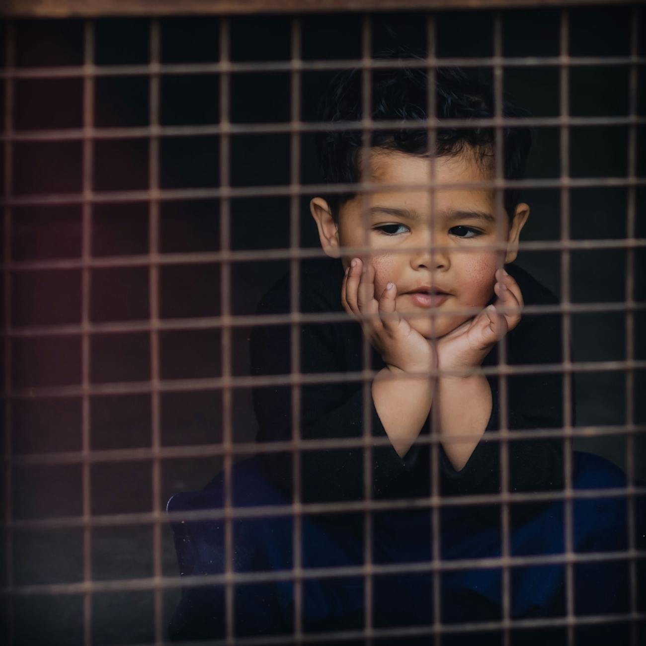 Asylum and Refugee Status