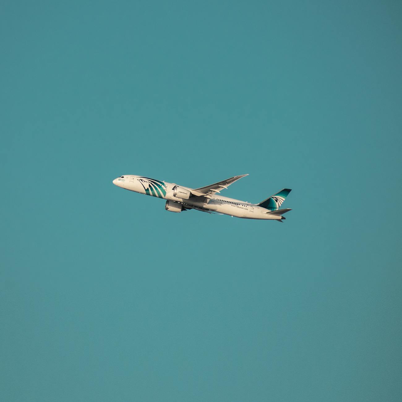 Customer Service Excellence in Aviation