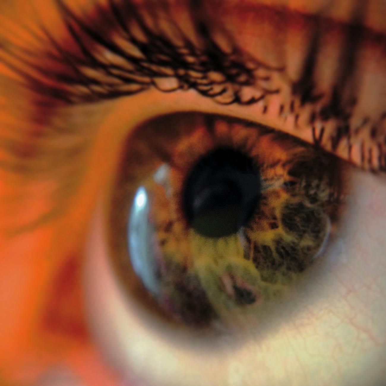 Implementing Eye Tracking in Educational Settings