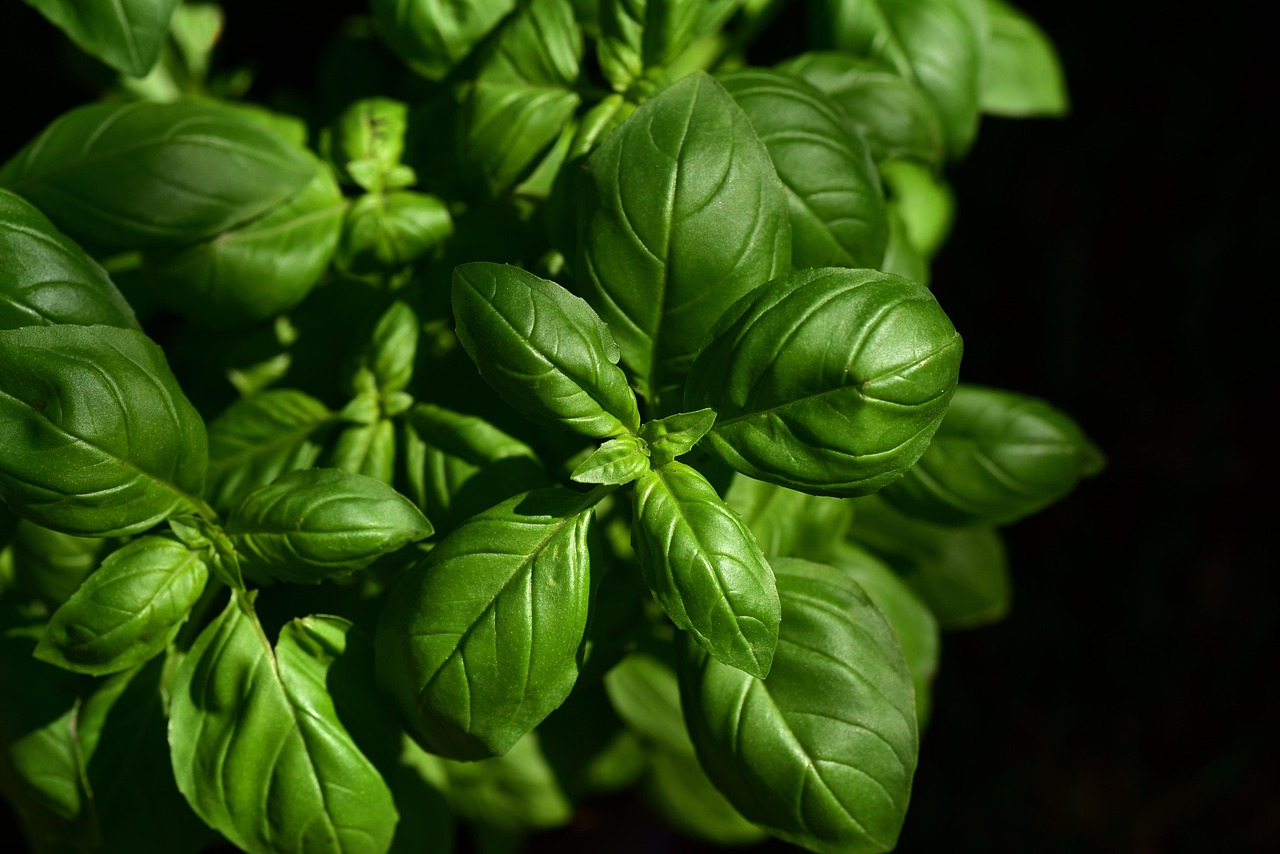 Aromatic Ingredients in Tea Blends