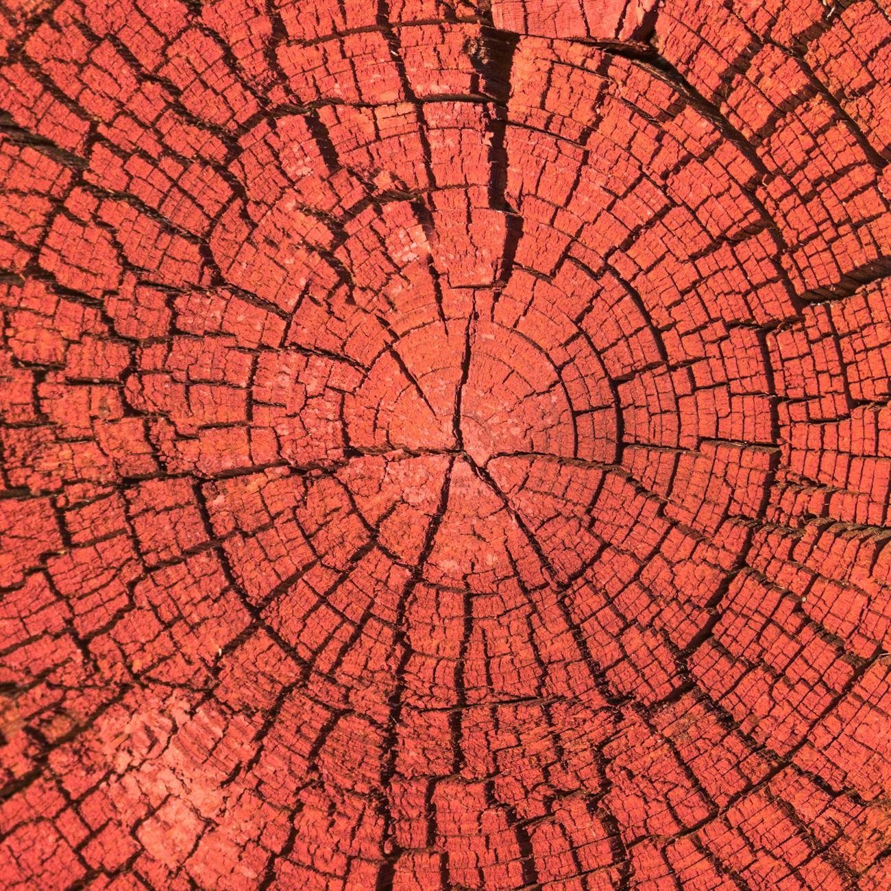 Disaster Recovery and Continuity Planning