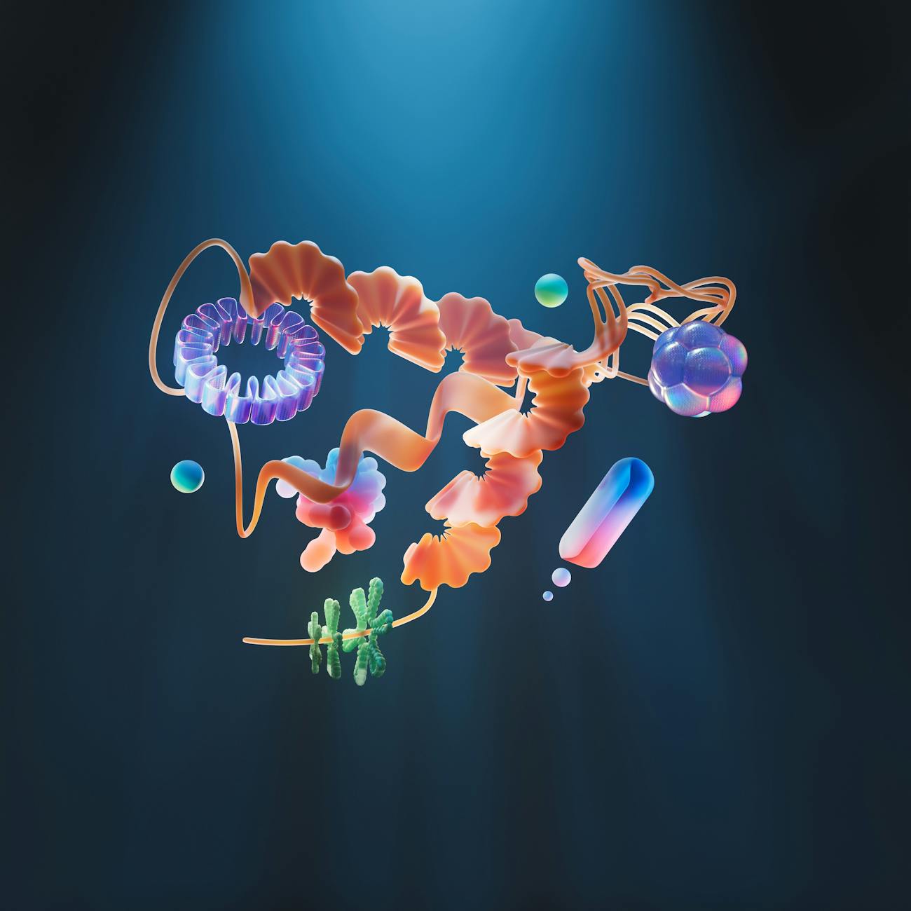 Disease Dynamics