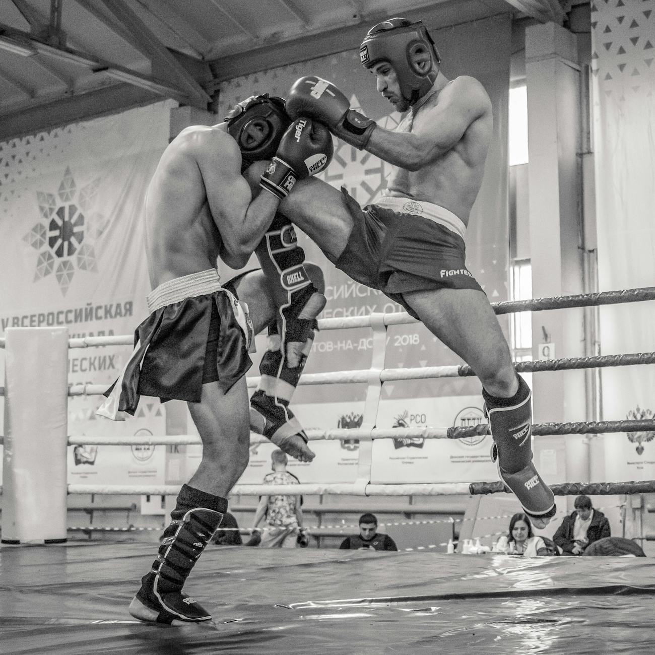 Performance Enhancement in Combat Sports