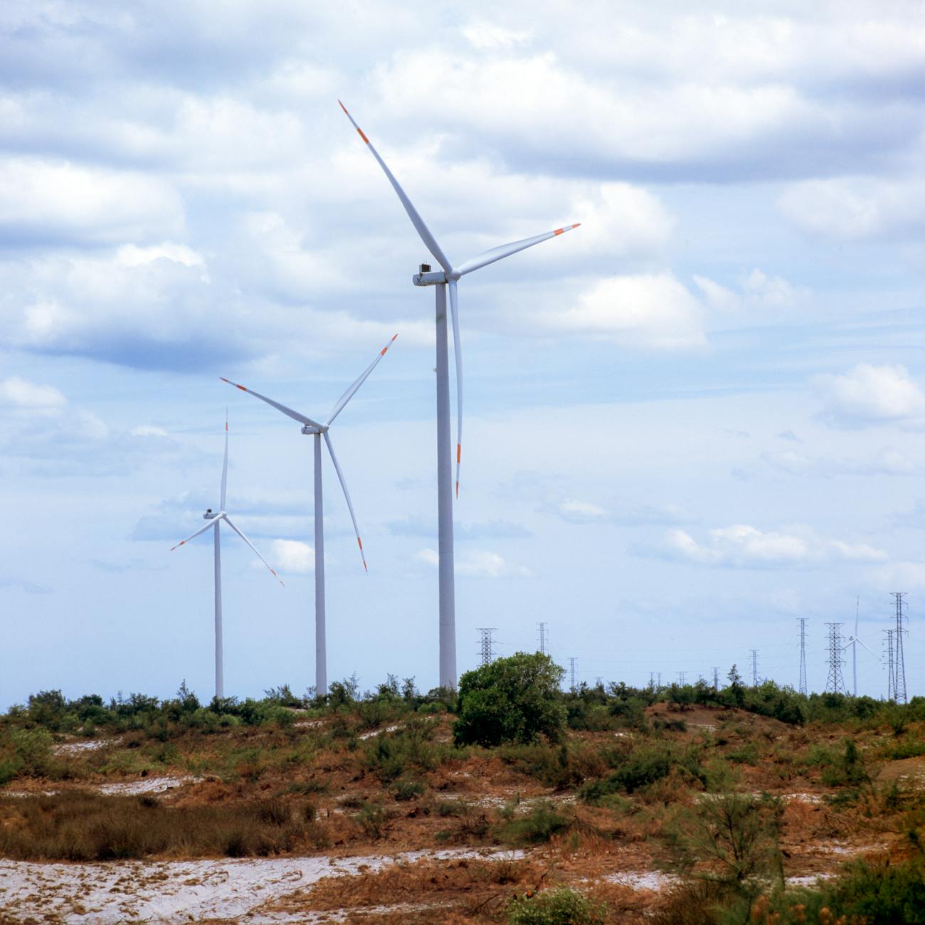 Energy Economics Fundamentals