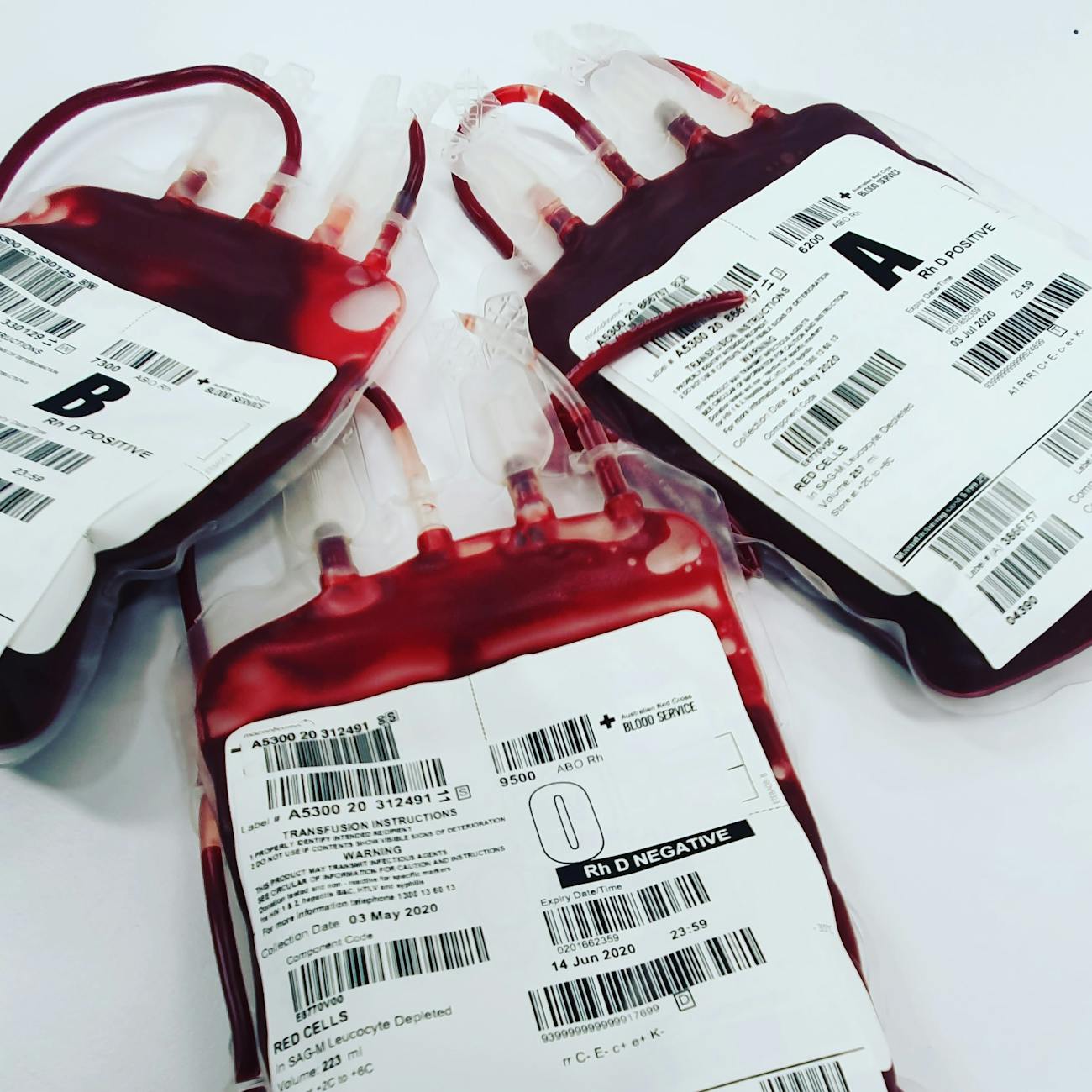 Morphologic Evaluation of Blood Cells