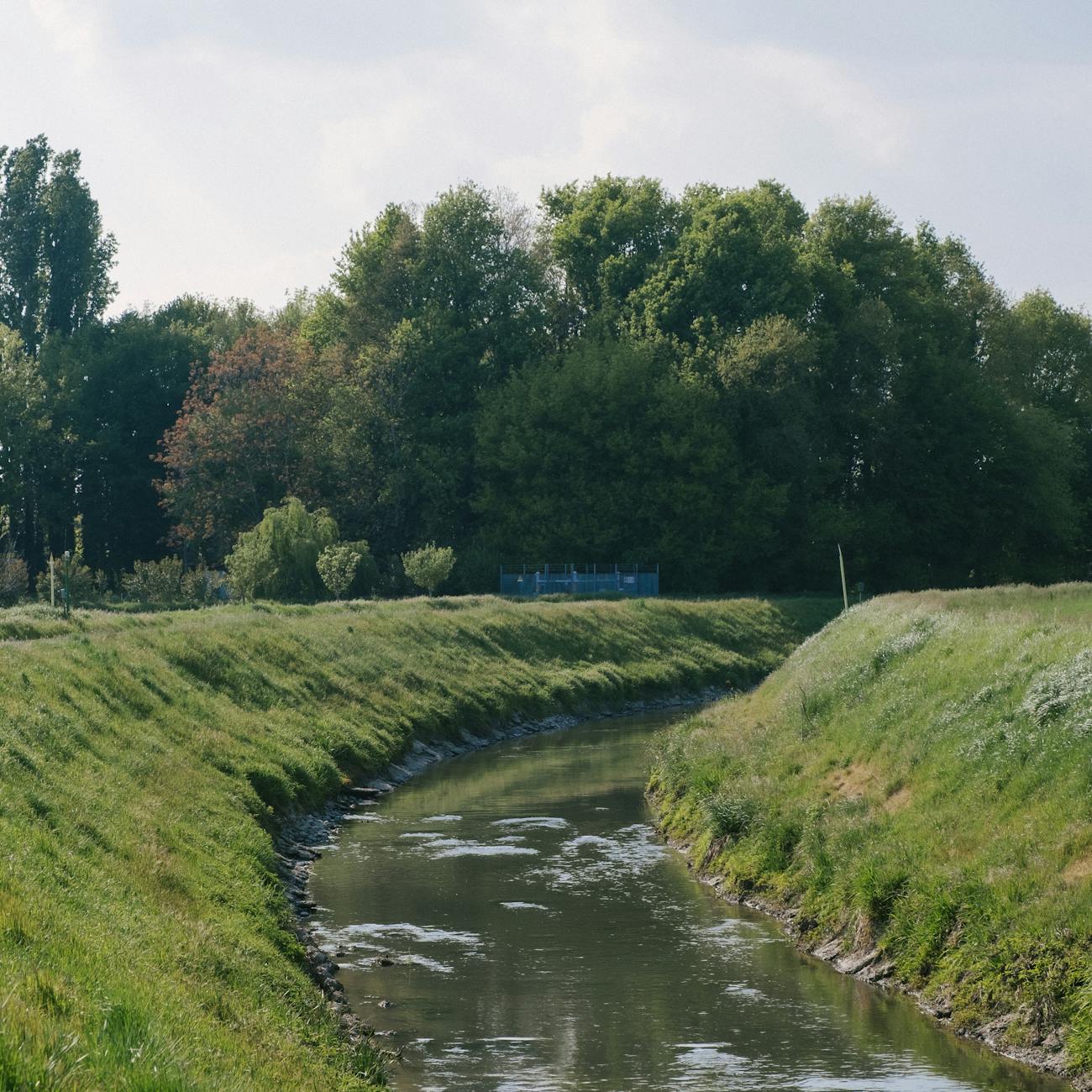 Assessment and Treatment Planning in Nature-Based Interventions