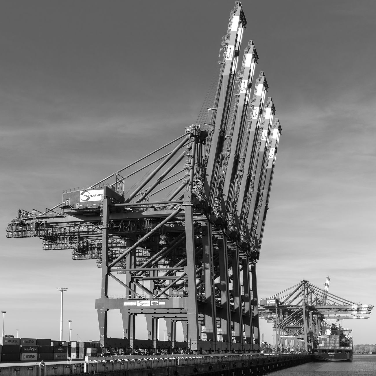 Risk Management in Logistics