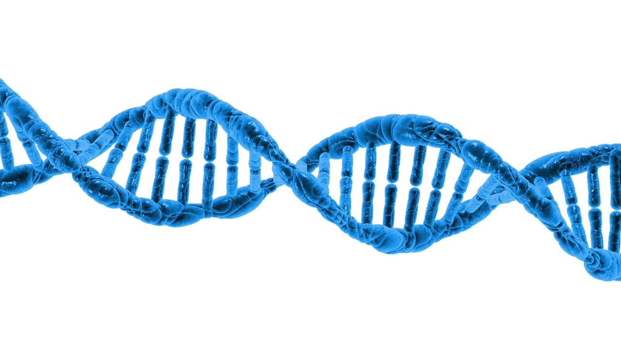 Biotechnology Project Closure and Evaluation