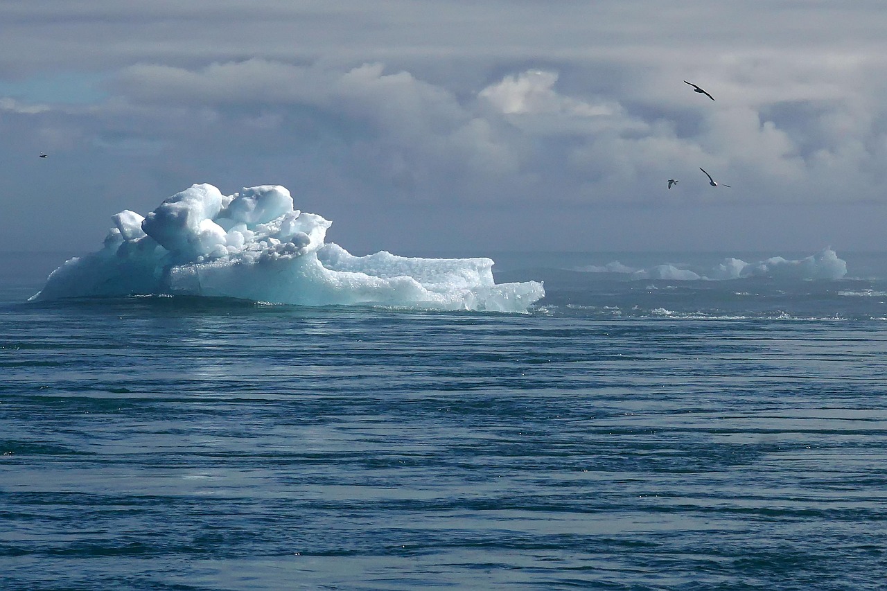 Climate Change Mitigation and Adaptation Strategies