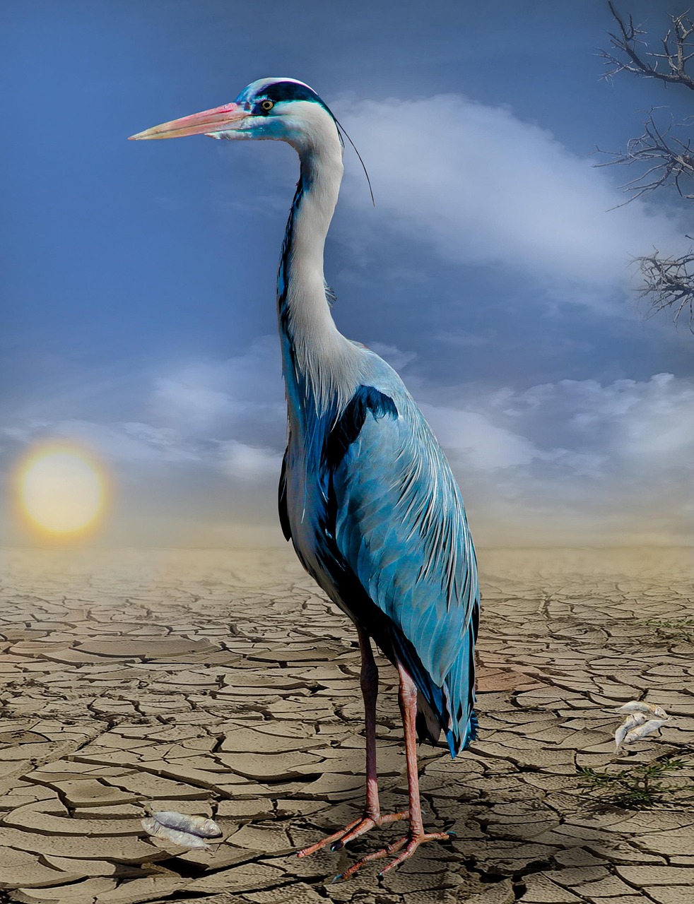 Climate Change and Sustainable Energy