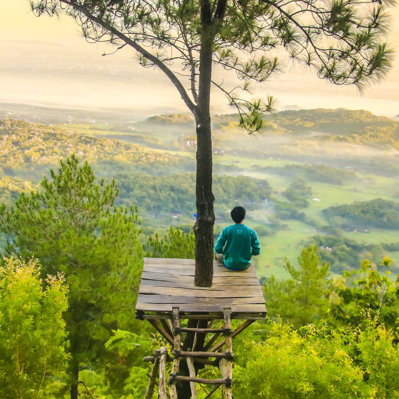 Mindfulness and Acceptance‑Based Interventions