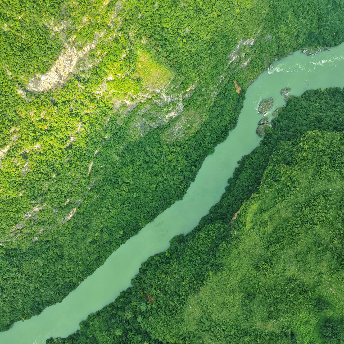 Global Climate Governance