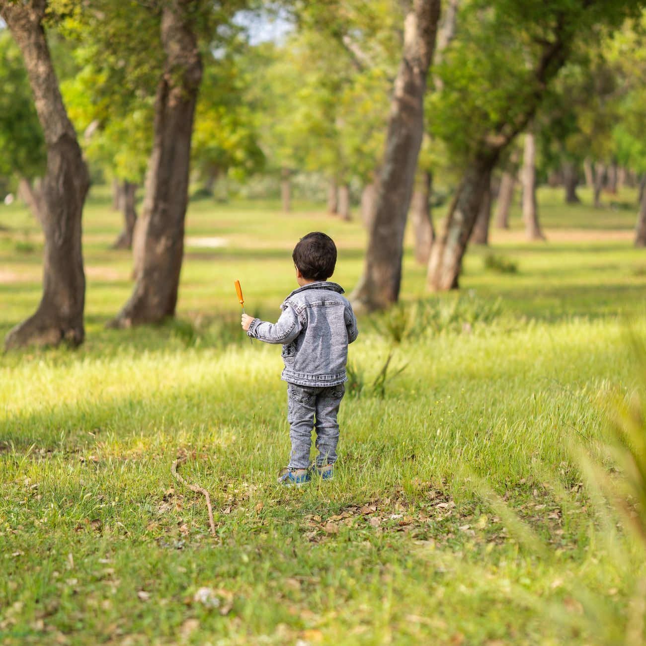 Neurodevelopmental Disorders And Neuropsychotherapy