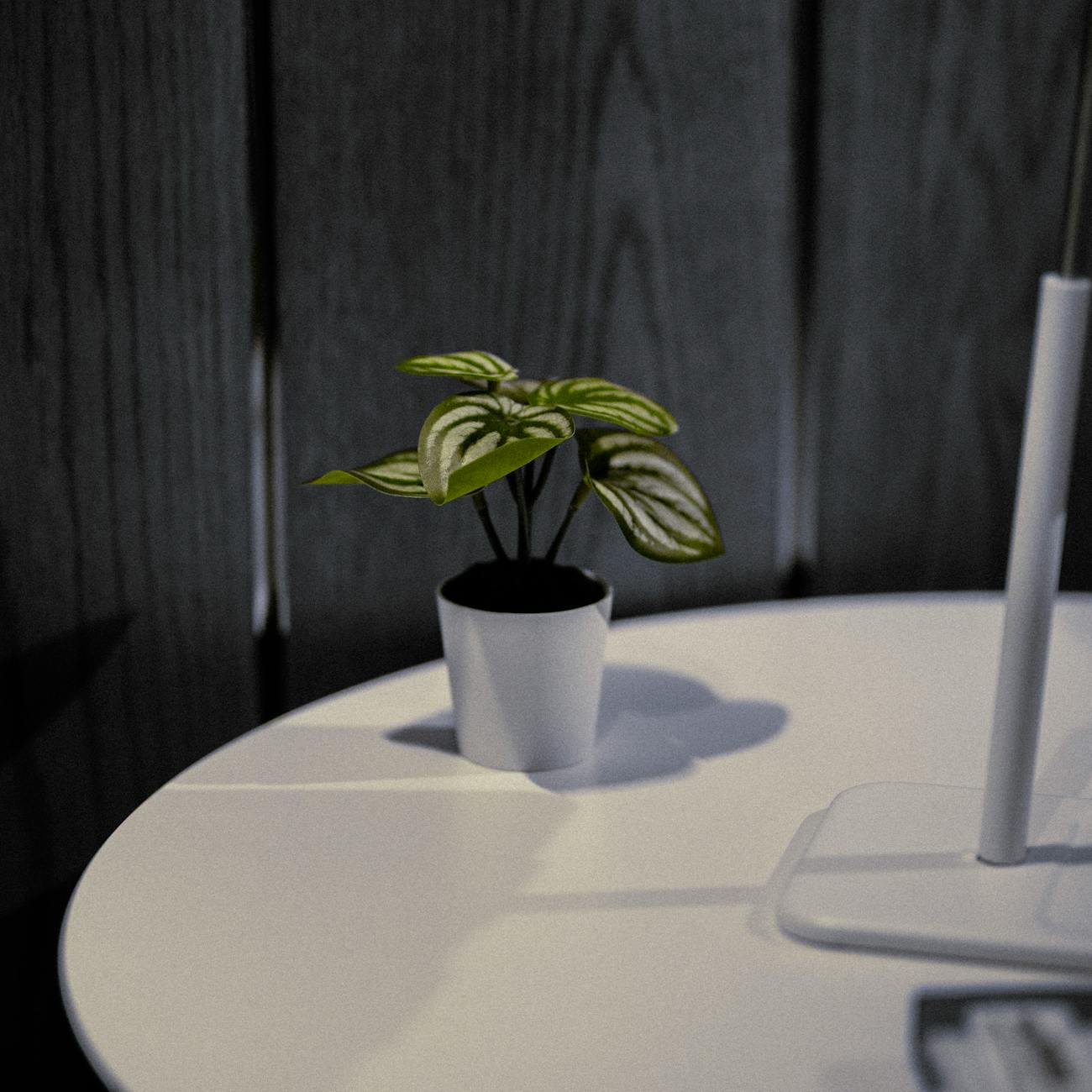 Cognitive Stimulation Therapy