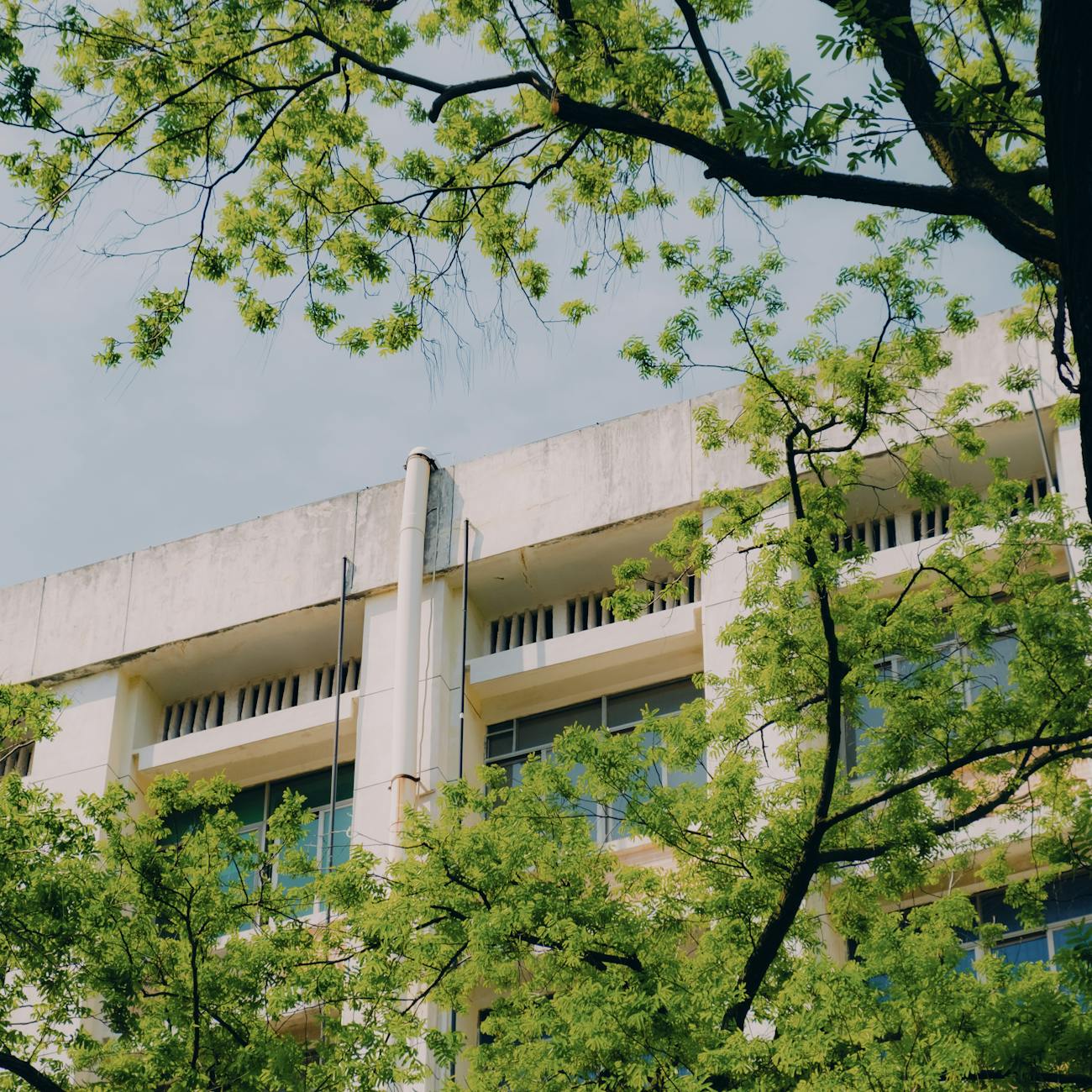 Green Building Materials