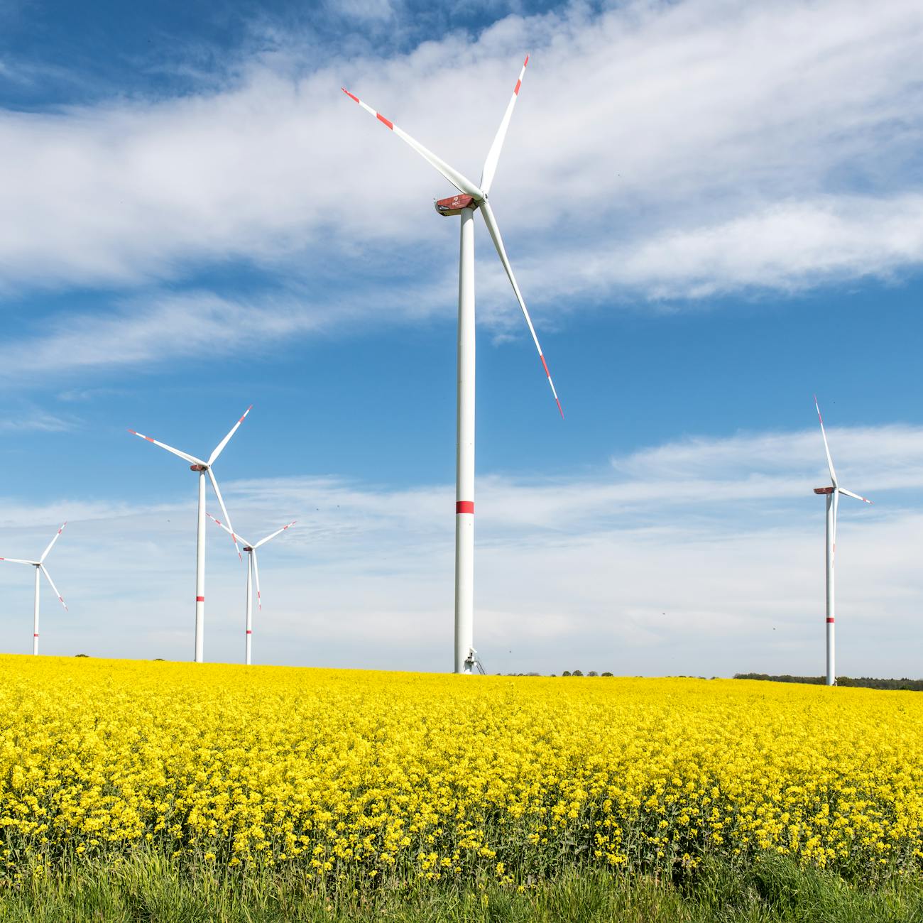 Energy Market Dynamics
