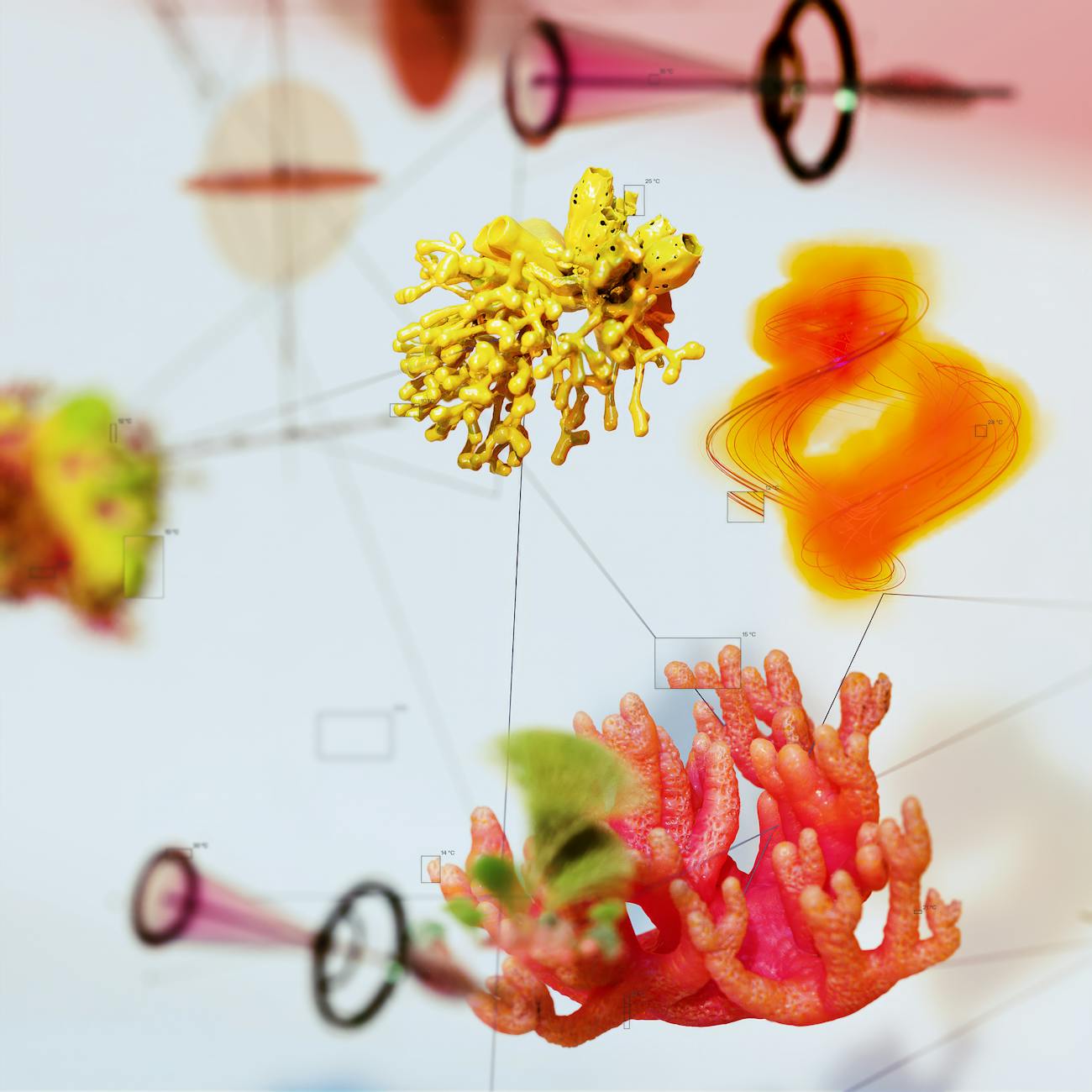 Systems Biology in Toxicology