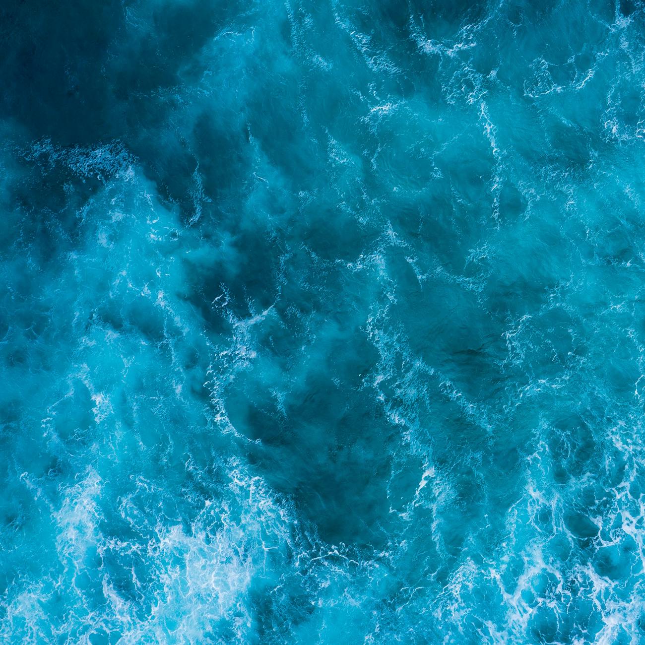 Diversity and Inclusion in Ocean Therapy