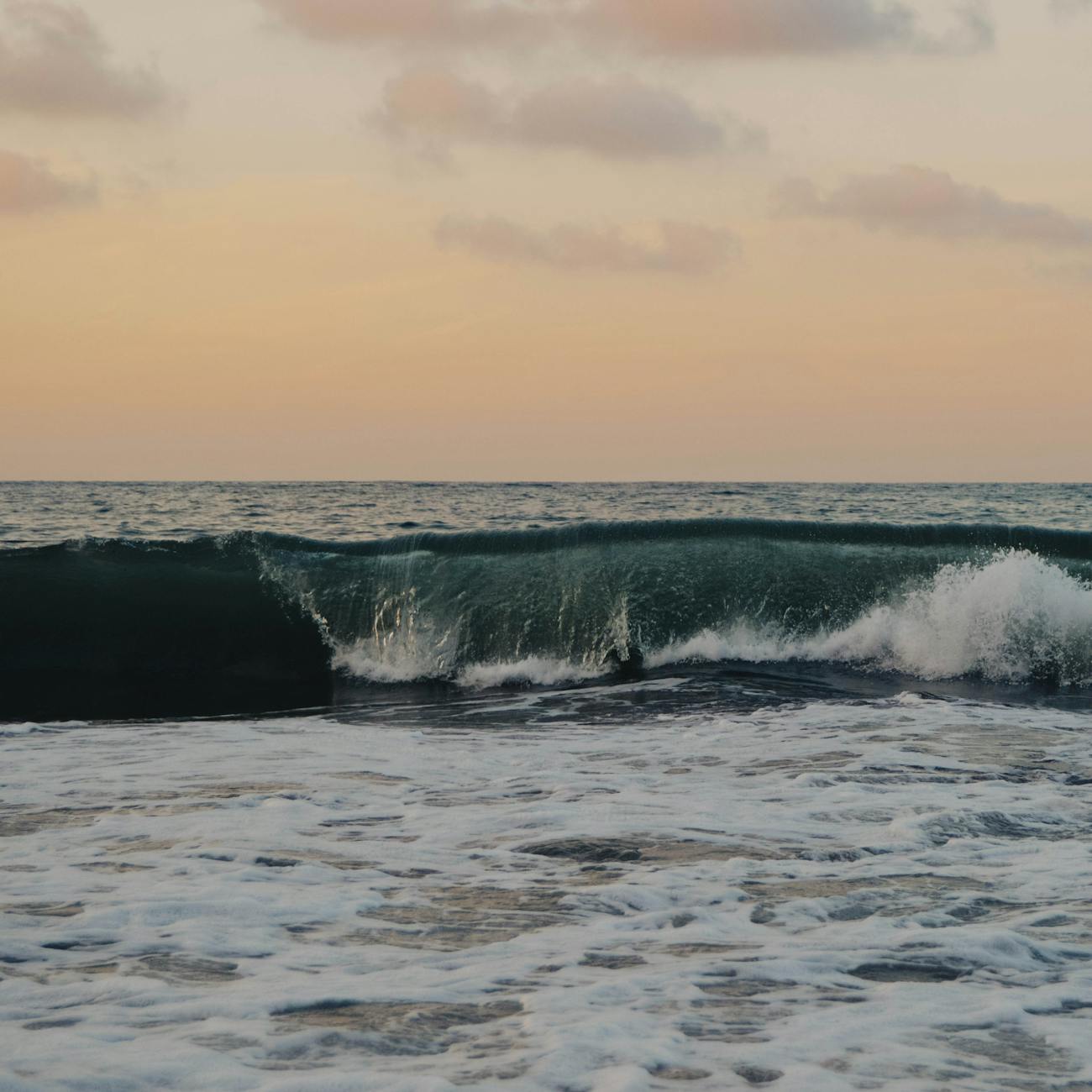 Professionalism in Ocean Therapy