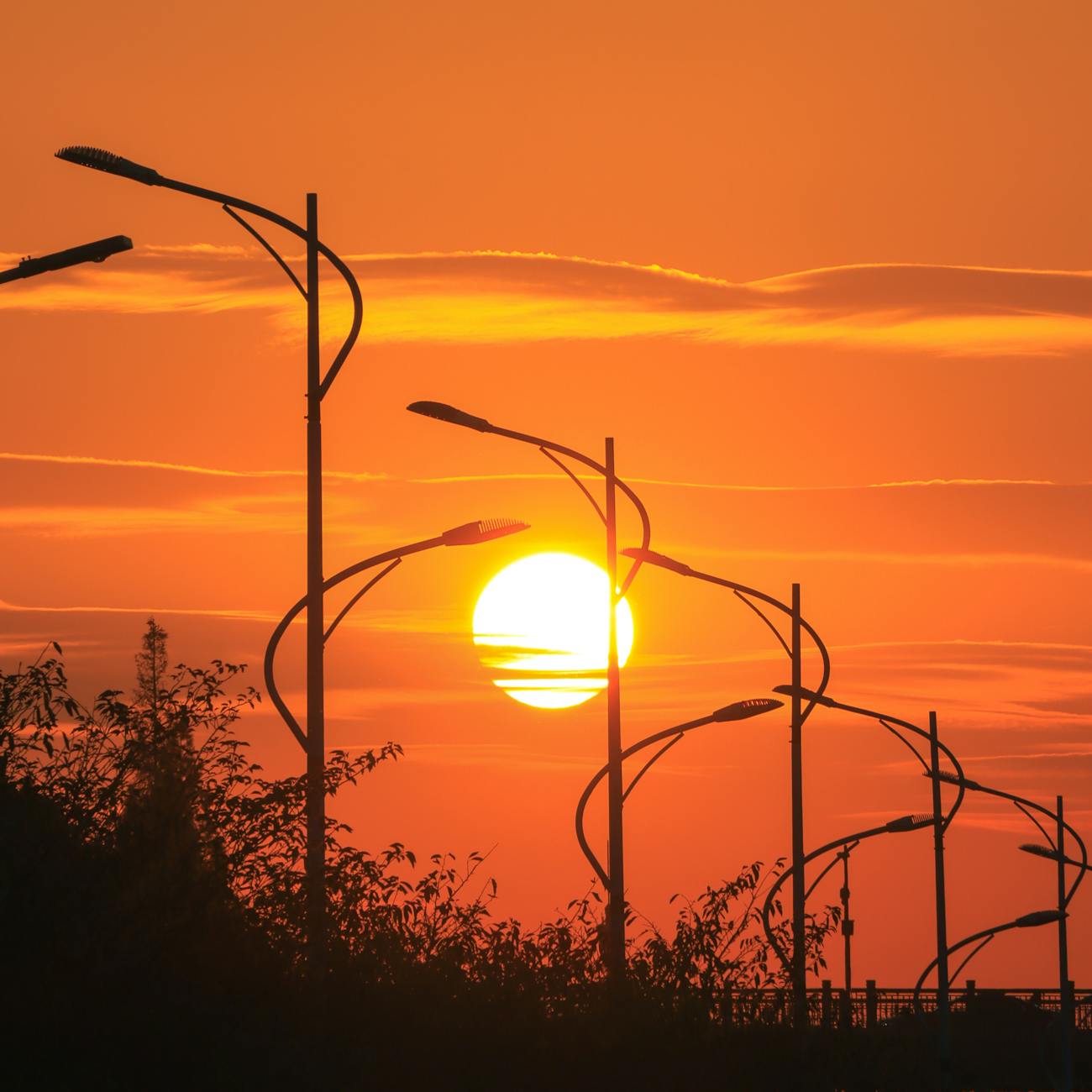 Lighting Control Systems for Horticulture