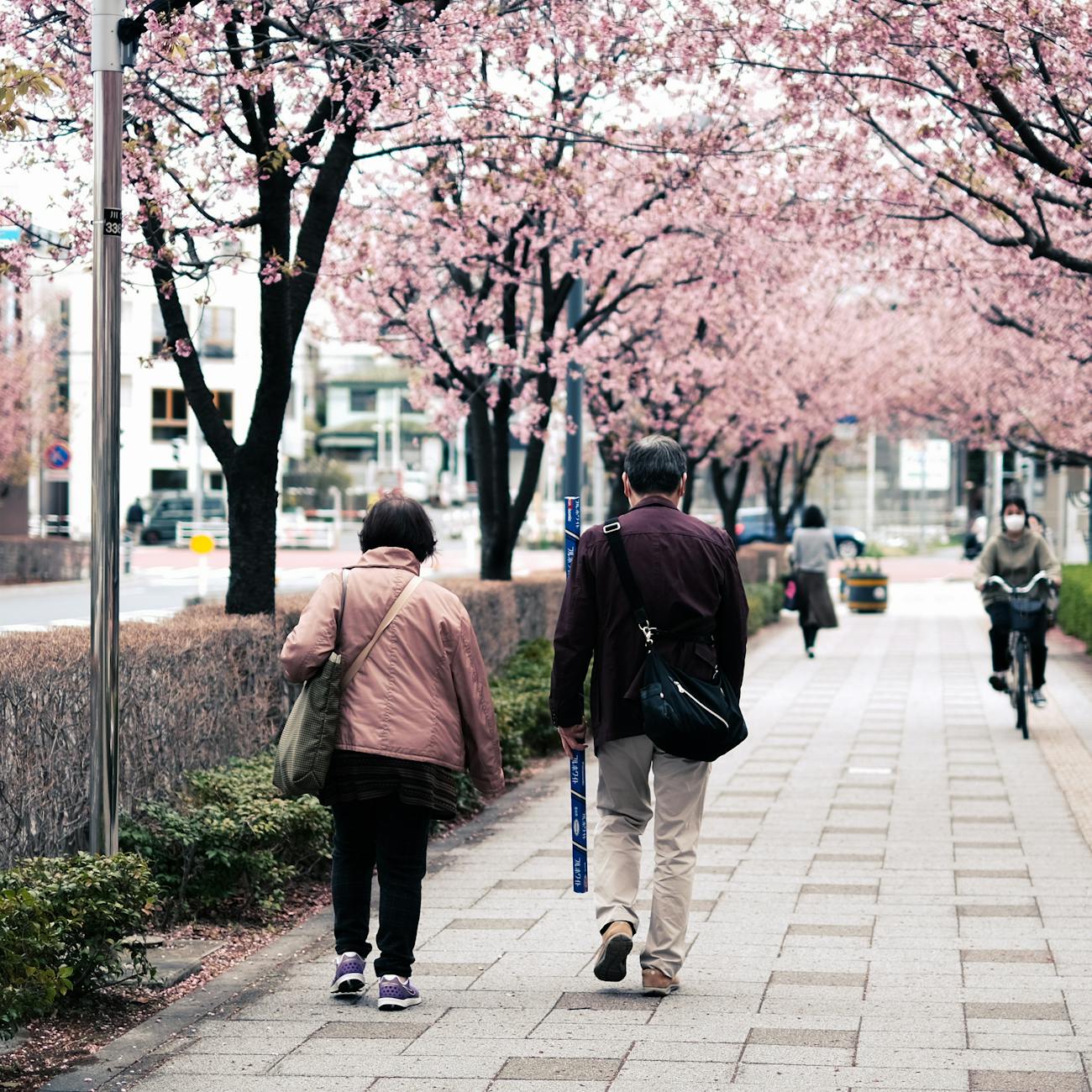 Pain Management Strategies for the Aging Population