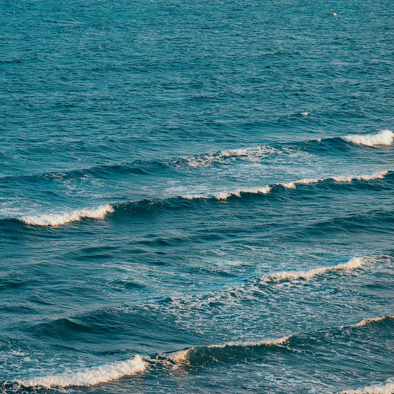 Ocean Therapy Interventions and Techniques